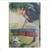 Image of The knight in the area 27