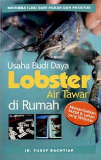 Image of Usaha budi daya lobster air tawar di rumah : memanfaatkan modal & lahan yang terbatas